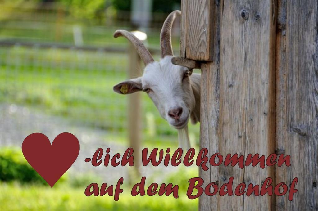 Bodenhof Ferienwohnungen Fieberbrunn Εξωτερικό φωτογραφία